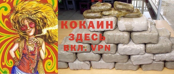 ГАЛЛЮЦИНОГЕННЫЕ ГРИБЫ Карталы
