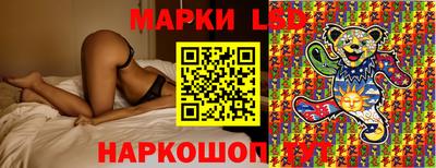 apvp Кингисепп