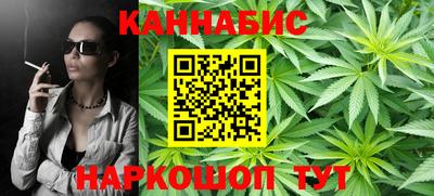 apvp Кингисепп