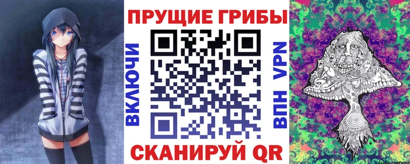 Псилоцибиновые грибы Psilocybe как найти Кызыл