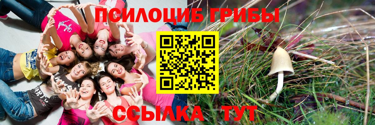 Кызыл  Псилоцибиновые грибы Magic Shrooms  Вход с VPN 