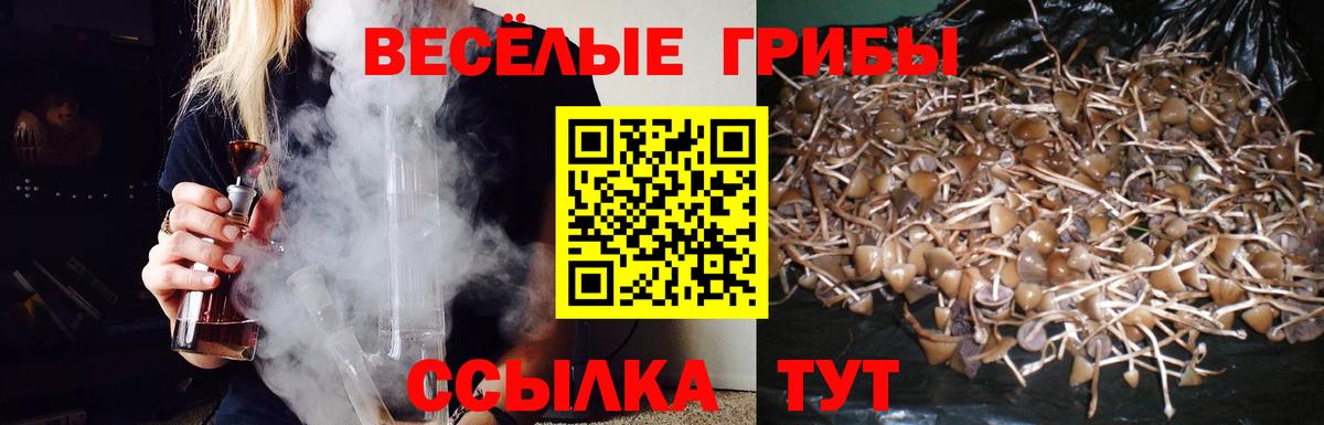 МАРИХУАНА  Меф   МДМА  Где продают наркотики?  Кызыл  Вход с VPN  ГАШ 
